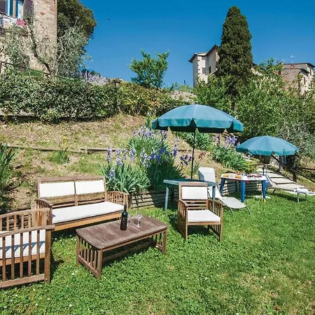 Zafferano 2